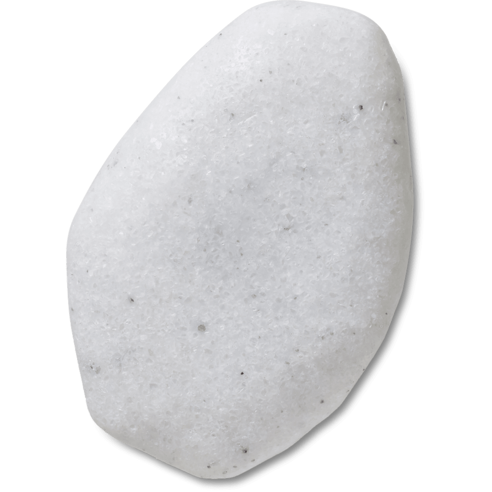10015393_001_ALT100