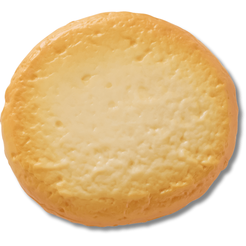 10016706_001_ALT100